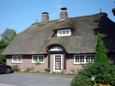 Blauer Fasan - Bild 1