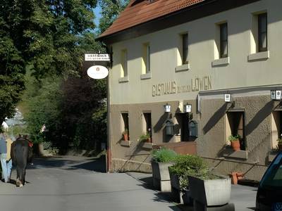 Gelber Löwe - Bild 1