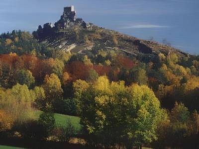 Zum Schwarzen Bären - Bild 1