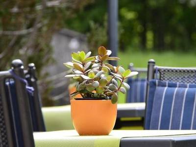 Hotel-Gasthof Am Forsthof - Bild 1