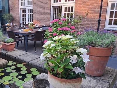 Hotel am Stadtpark - Bild 1