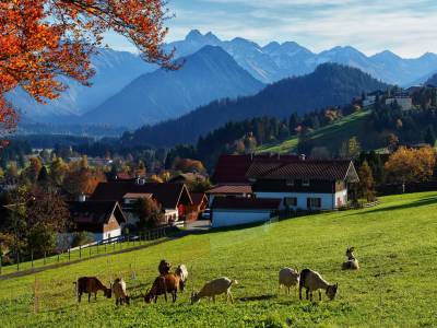 Panorama Hotel Kaserer - Bild 1