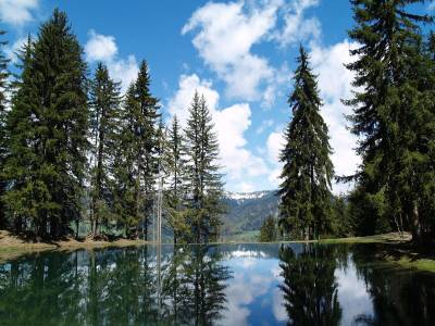 La Griyotire - Bild 1