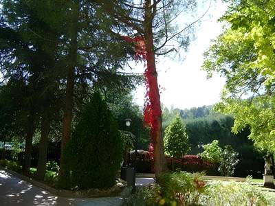 Albergo Ristorante La Primula - Bild 1