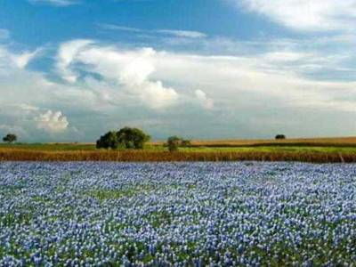 Courtyard Houston Pearland - Bild 1