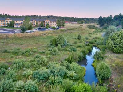 Hampton Inn & Suites Show Low-Pinetop - Bild 1