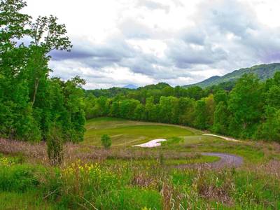 MeadowView Conference Resort & Convention Center - Bild 1