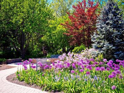 The Westin Chicago Lombard - Bild 1