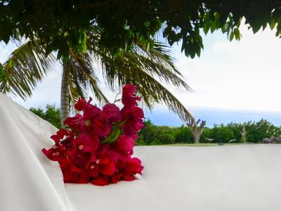 Montpelier Plantation & Beach - Bild 1