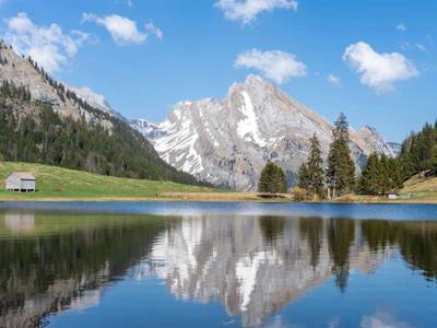 Toggenburg Wildhaus - Bild 1