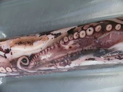 Hotel Straubs Schöne Aussicht - Bild 1