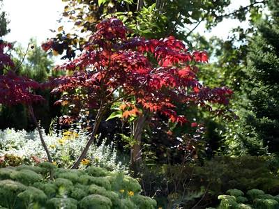 In der Breite - Bild 1