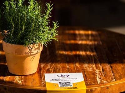 Steiger Kurort Rathen - Bild 1