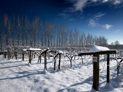 Llanerch Vineyard - Bild 1