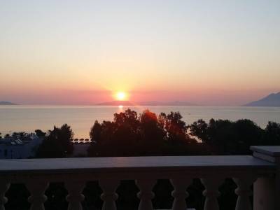 Aristotelis - Bild 1