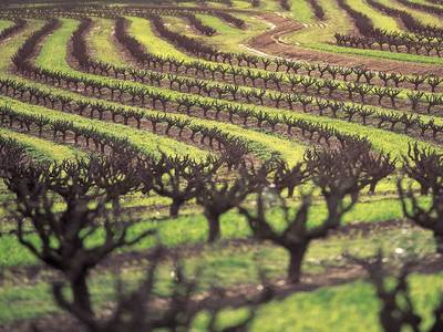 Intercontinental Adelaide - Bild 1