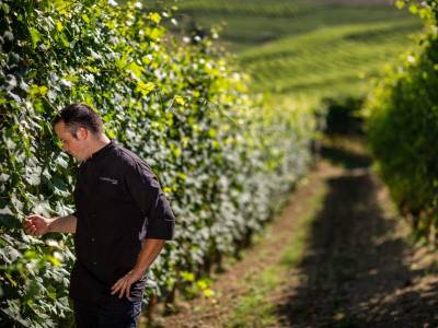 Resort Limax Acis - Bild 1