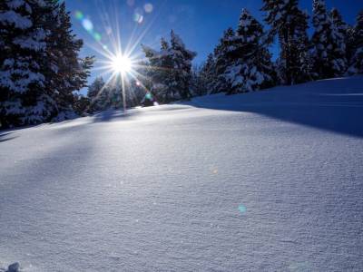 Apartamentos Solineu - Bild 1