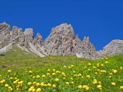 NatureBio Hotel Elite - Bild 1