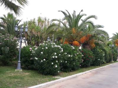 Grand Hotel Vigna Nocelli - Bild 1