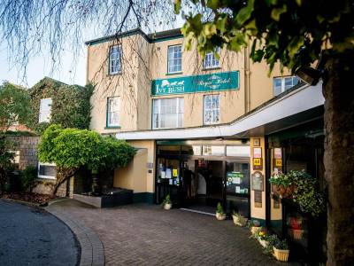 Ivy Bush Royal Hotel - Bild 1