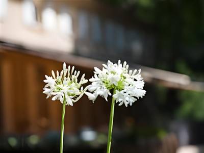 Moulin de Vernègues Hotel & Spa - Bild 1