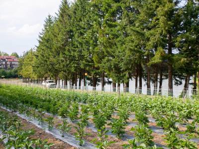 Hotel Miramonti - Bild 1