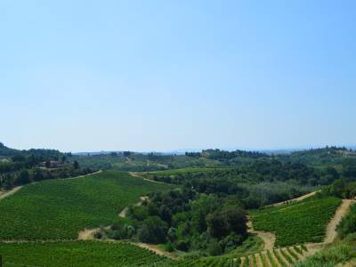 Fattoria il Bacio - Bild 1