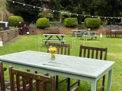 The Elephant - Bild 1