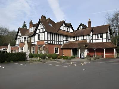 The White Buck - Bild 1