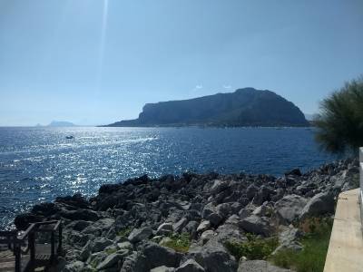 Splendid la Torre - Bild 1