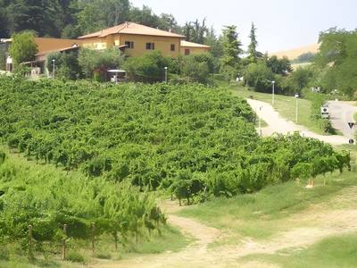 Agriturismo Borgo delle Vigne - Bild 1