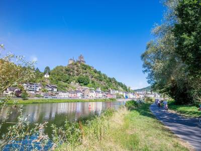 Cochemer Jung - Bild 1