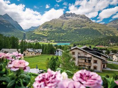 Nira Alpina - Bild 1