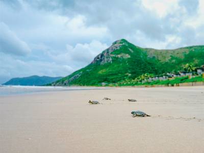 Six Senses Con Dao - Bild 1