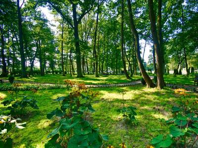 Hotel Delfin Spa & Wellness - Bild 1