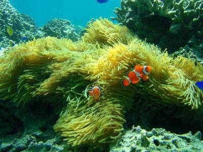 Okinawa Grand Mer Resort - Bild 1