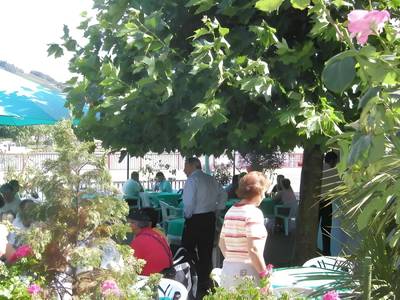 Moselgarten - Bild 1