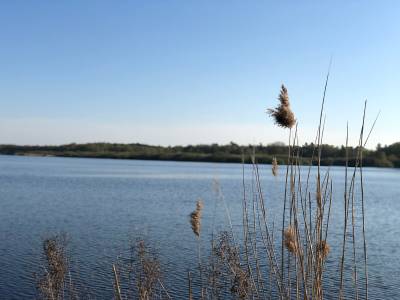 Hotel Heidegrund - Bild 1