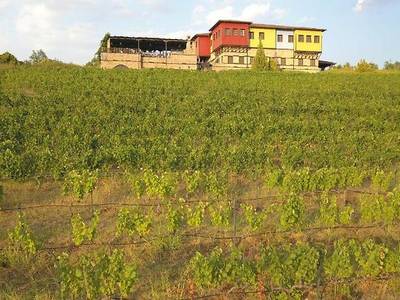 Estate Kalaitzis - Bild 1