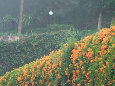 Putri Gunung - Bild 1