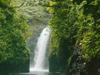 The Remote Resort - Bild 1