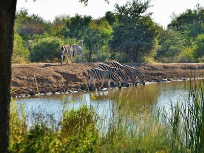 Black Rhino Game Lodge - Bild 1