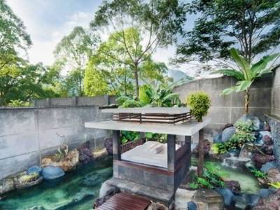 The Ayu Kintamani - Bild 1