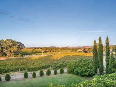 Barossa Shiraz Estate - Bild 1