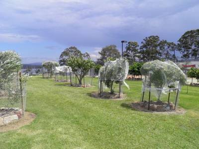 Robyn’s Nest Lakeside Resort - Bild 1