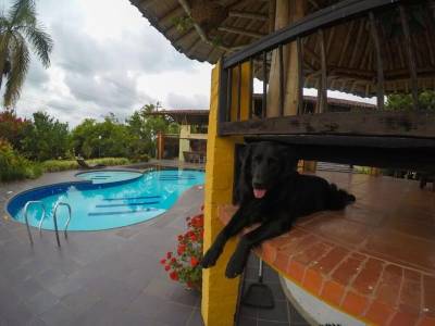 Finca Hotel La Quinta Porra Alejandria - Bild 1