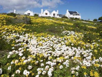 Abalone Hotel & Villas - Bild 1