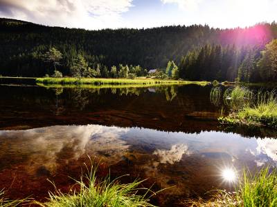 Das Reiners - Bild 1