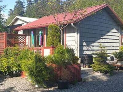 Black Bear Inn - Bild 1